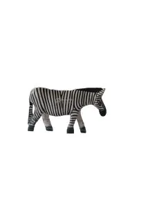 Zebra/Pundamilia