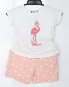 Pink flamingo full